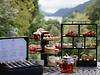 Merewood Country House